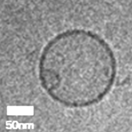 바이오에프티 | BIOFT-Plant Exosomes